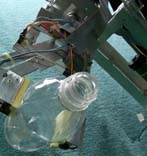 [Phase IV wrist pouring action]