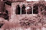 fun sepia tone found online