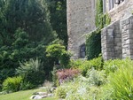 back lawn gardens