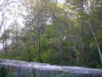 gazing to the cliffs below