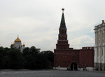 Pine-Grove Tower full length
