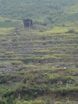 Rock wall terracing below farmer shed