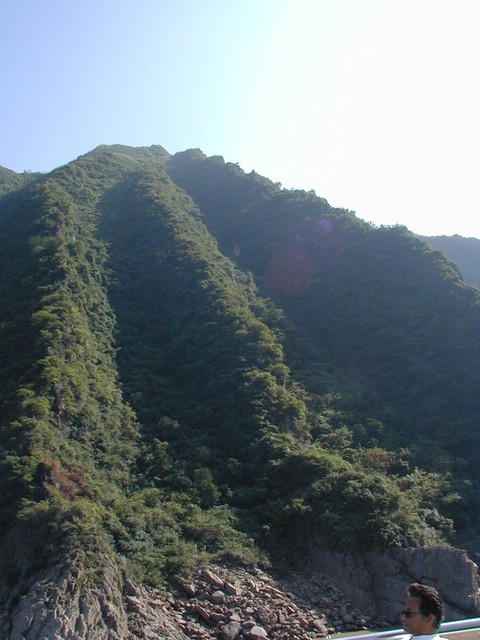 Vegitation over eroding hillside