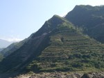 Traditional farm terraces
