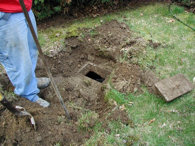 digging for buried treasure