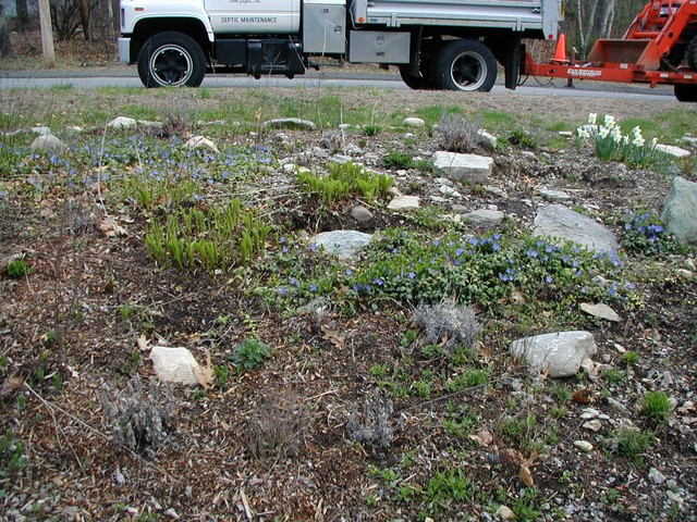 hopefully the non-weeds will return