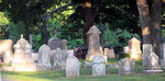 Southborough Rural Cemetary in August