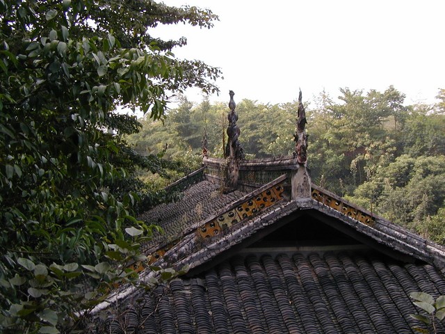 Spiky roof details