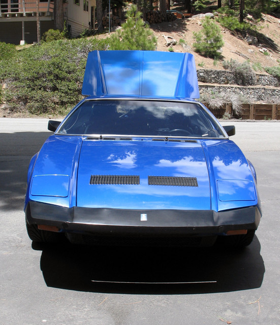 trees reflected in blue
