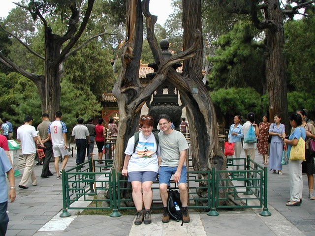 Ren and Joe in front of the marriage tree in the Imperial Garden