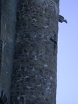 gargoyle on tower