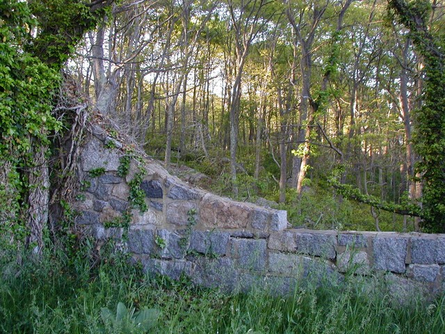 side wall in the forest