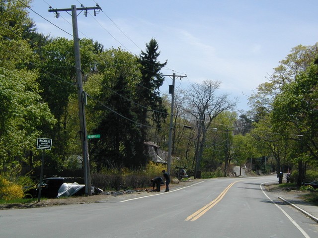 Magnolia and Hammond Castle sign on Hesperus
