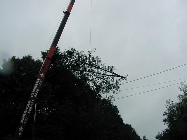lifting treetop over power lines