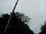 lifting treetop over power lines