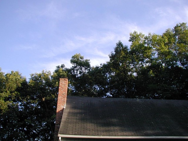roof will receive sunlight