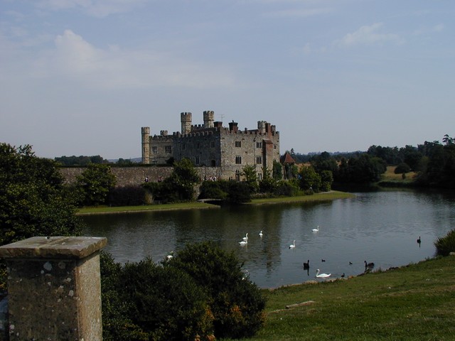 Leeds Swans and Ducks