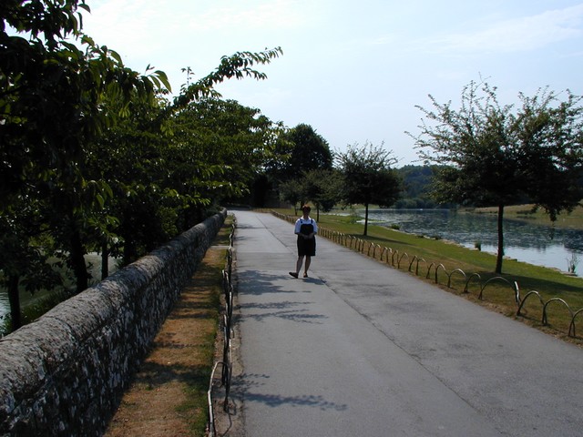Ren walks leeds gardens