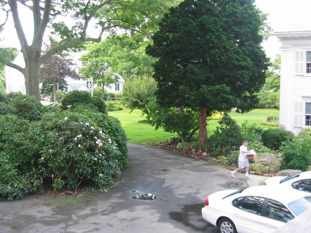 Front yard at White House of Magnolia