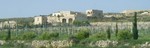 Maltese farm
