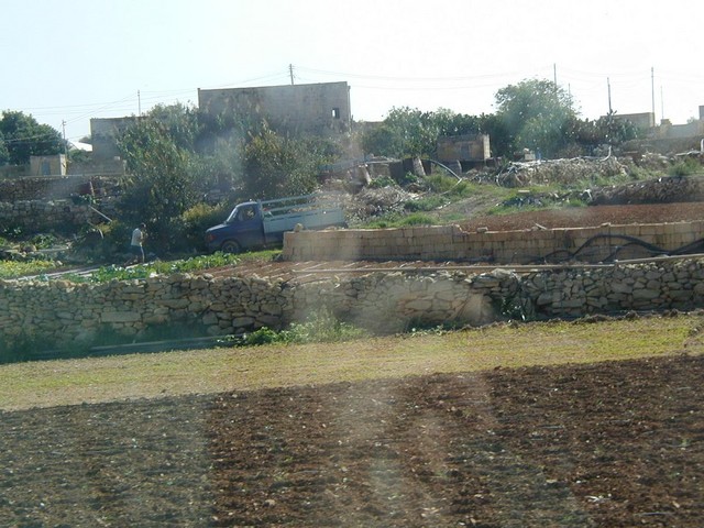 Maltese farming