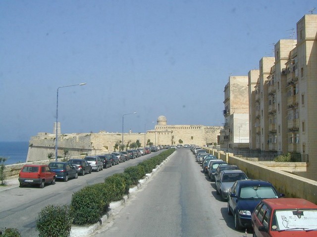 fancy Maltese promenade