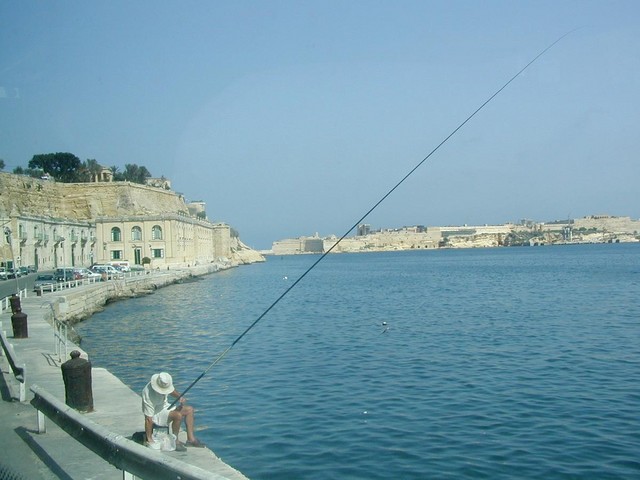 fishing at the docks