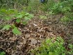 10 feet into our property