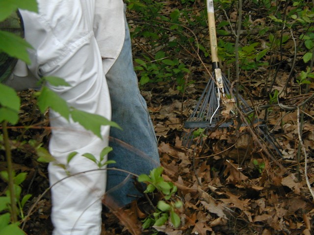 rake and worker