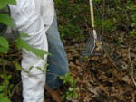 rake and worker