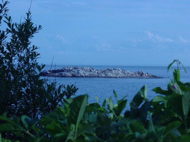 Norman's Woe in blue tone without seagull