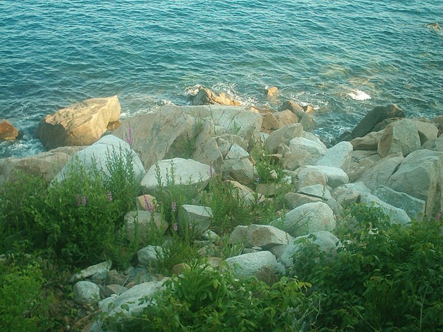 dusk on the shoreline