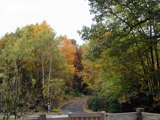 view from deck towards street