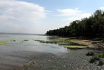 shore near Monplaisir