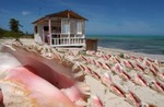 Bugaloo's waterfront salad stand and conch shells