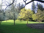 Spring has sprung at the Hoyt Arboretum