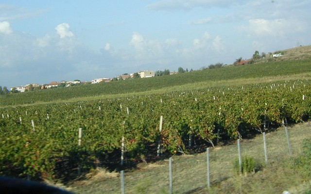 Country side between Rome and port