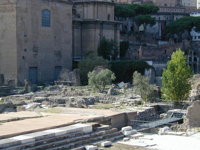 facing Senate House aka Curia with Basilica Aemilia ruins in foreground