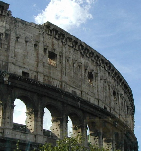 trees growing near side that has not been restored