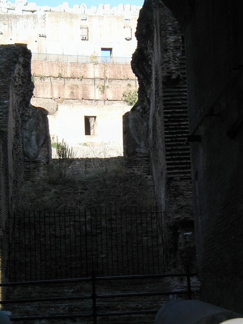 weeds growing inside of Colosseo