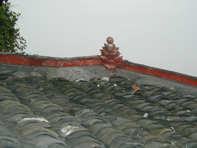 Lotus flower on roof