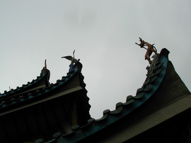 Stag below the crane as roof tips