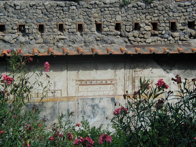 Paint on walls from the 79 AD erruption