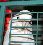 what do you mean I can't have coffee