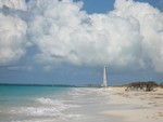 Highlight for Album: Beach strolling on Provo Island