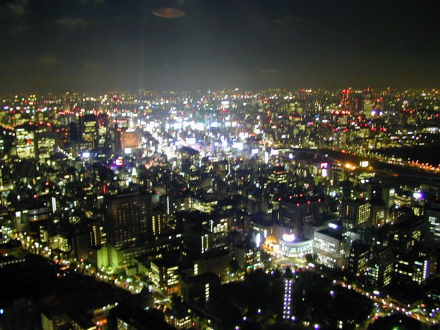 Tokyo from the tower - 2