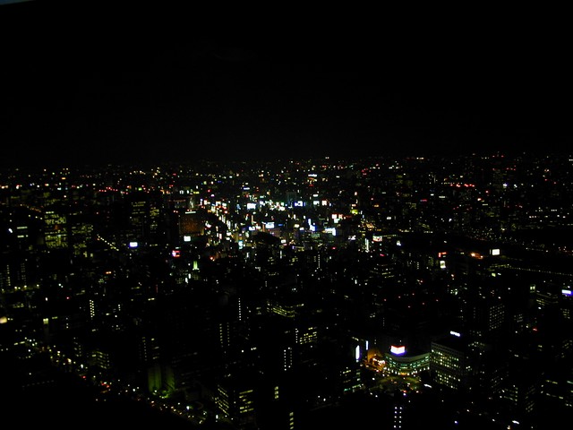 Tokyo from the tower - 3