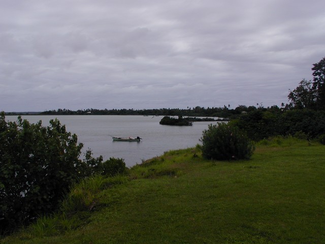 Purple tones in the sky