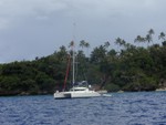 Catamaran in front of the palm trees