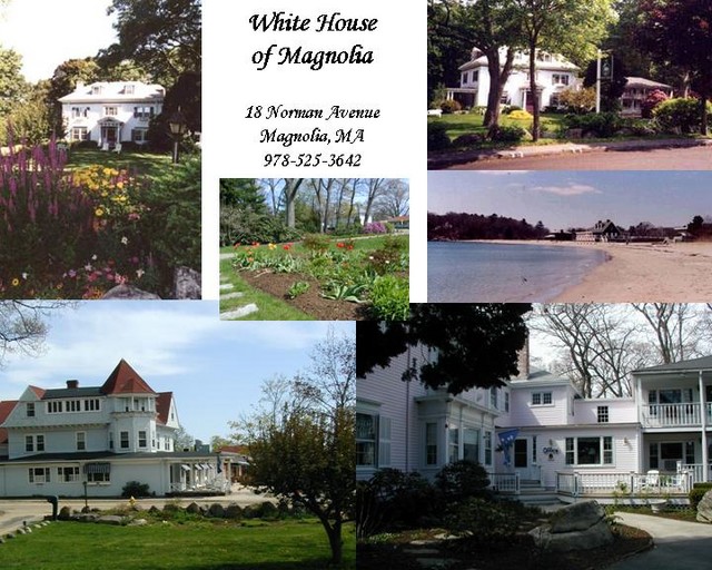 White House of Magnolia